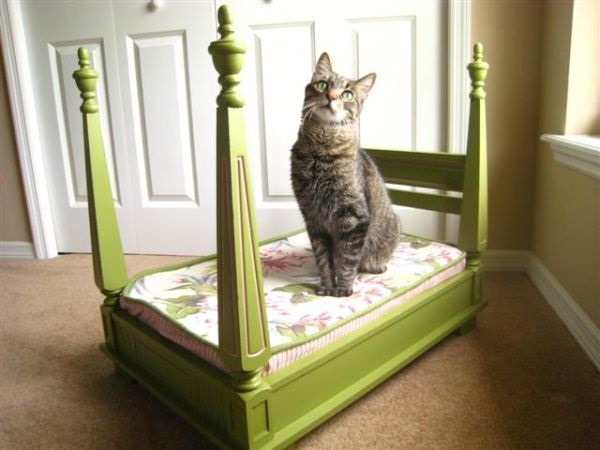 RESIZED.diy-pet-bed