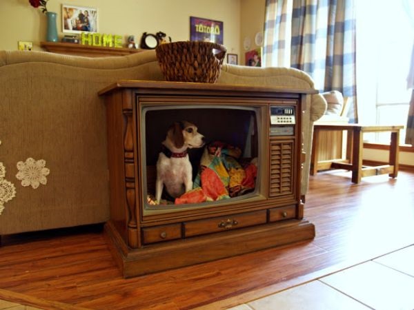 RESIZED.old-tv-pet-bed