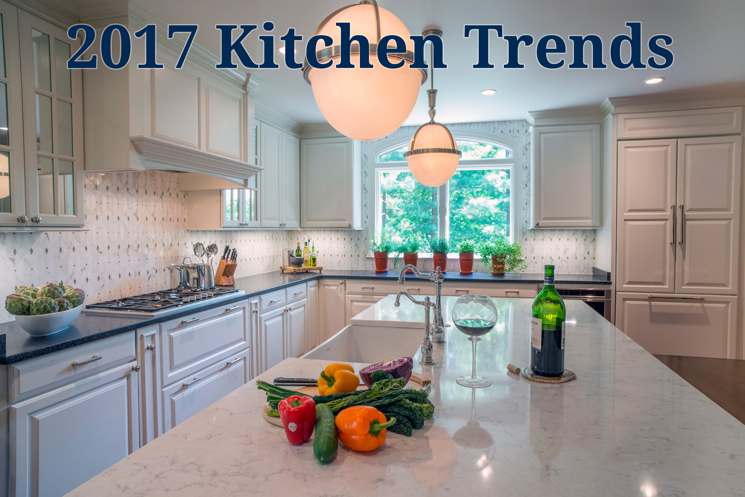 2017 Kitchen Trends